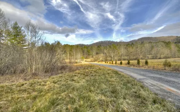 Blue Ridge, GA 30541,186 Buck Creek Trail