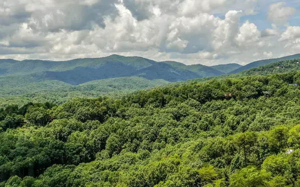 Cherry Log, GA 30522,1294 Cherry Lake Drive