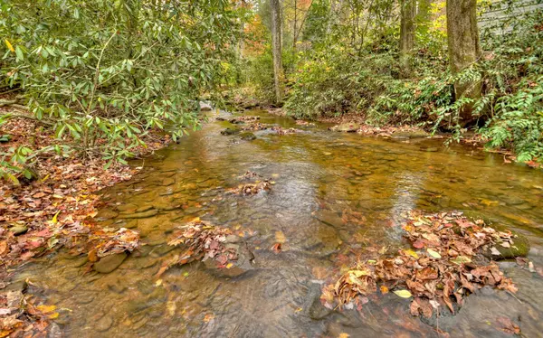 Cherry Log, GA 30522,2349 Stanley Creek Road