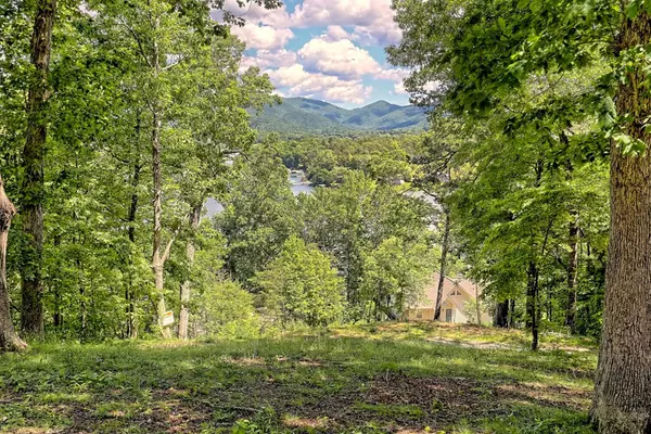 Hiawassee, GA 30546,1060 Vista Road