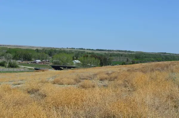 Rural Vulcan County, AB T0J 0M0,215 A