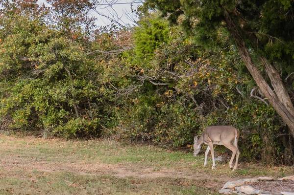 Possum Kingdom Lake, TX 76449,Lot 95 Cliffs Drive