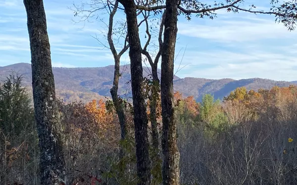 Cherry Log, GA 30522,12 Little Bushy Head Road