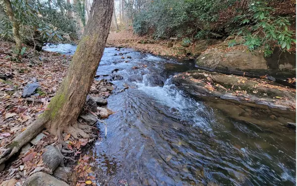 Hayesville, NC 28904,168 Dick Jones