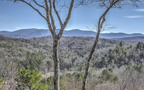 Blue Ridge, GA 30153,78 Brass Hill Road