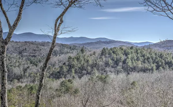 Blue Ridge, GA 30153,78 Brass Hill Road