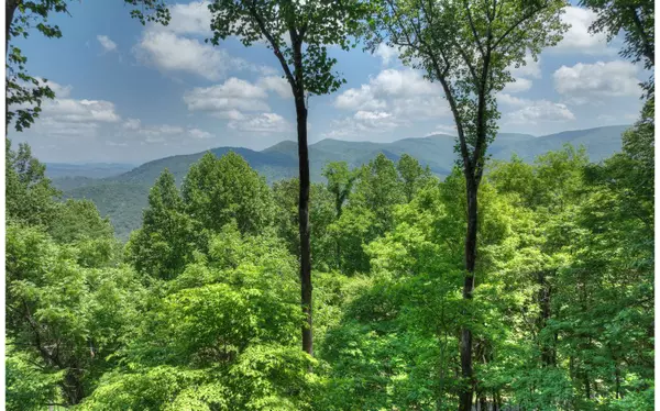 Ellijay, GA 30536,1317 Mountain Oak Road