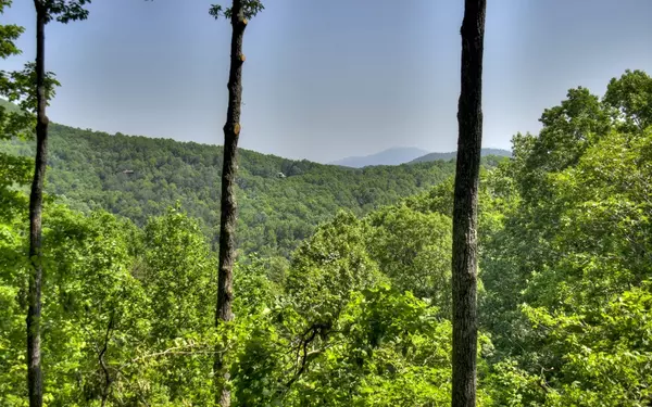 Cherry Log, GA 30522,507 Bushy Head Road