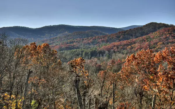 Cherry Log, GA 30522,51 Valley Overlook Drive