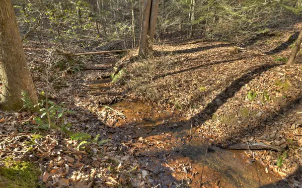 Cherry Log, GA 30522,189 Cherry Lake Drive