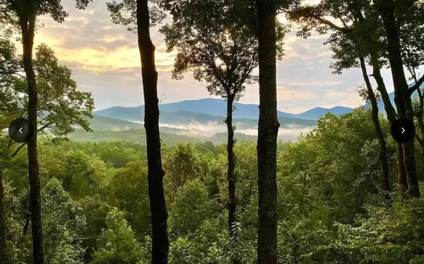 Cherry Log, GA 30522,325 Hidden Lake Lane