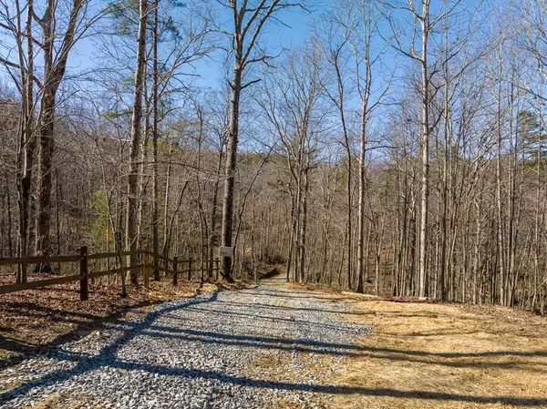 Ellijay, GA 30540,LT 41 White Oak