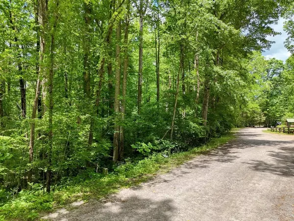 Hayesville, NC 28904,Lot 96 Shiloh Drive