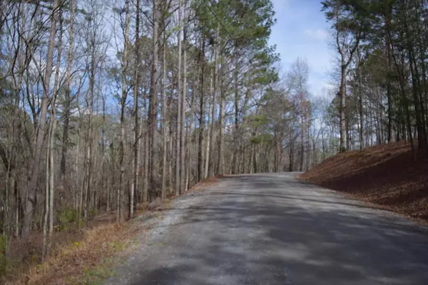 Lot 479 Joliet, Ellijay, GA 30540