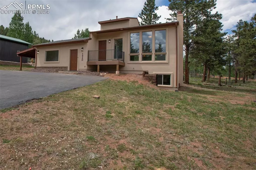 Woodland Park, CO 80863,1420 Juli CT