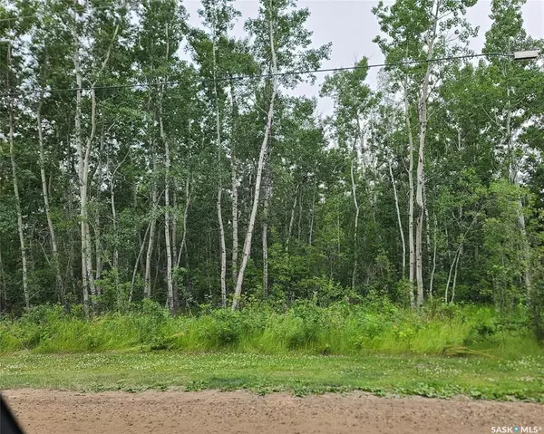 Rural Cottage ROAD, Turtle Lake, SK S0M 1J0