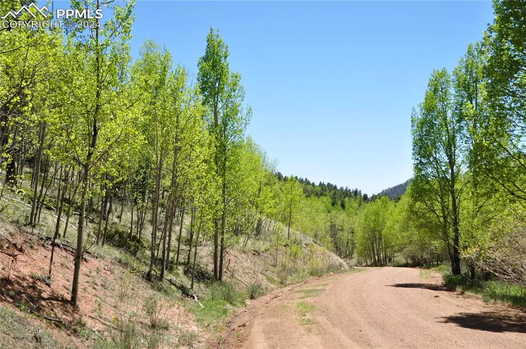 Cripple Creek, CO 80813,1929 Golden Cycle CIR