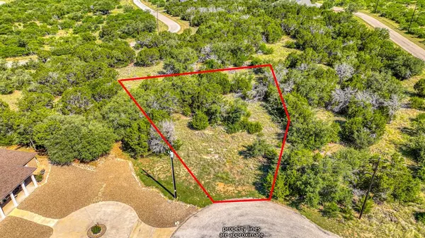 20 Oakland Hills Court, Possum Kingdom Lake, TX 76449