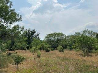 TBD County Road 203,  Santa Anna,  TX 76823