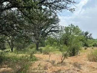 Santa Anna, TX 76823,TBD County Road 203