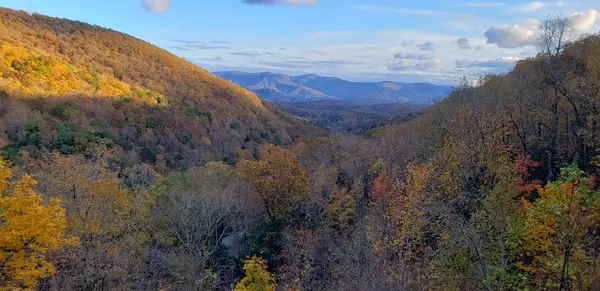 Cherry Log, GA 30522,161 Cub Trail