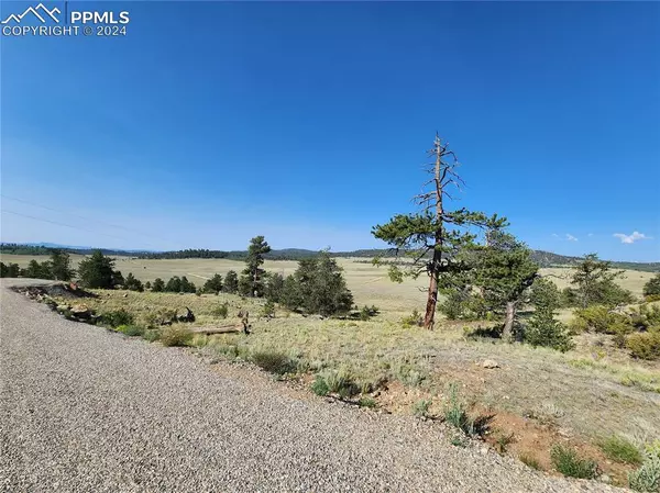 Hartsel, CO 80449,640 Arapahoe TRL