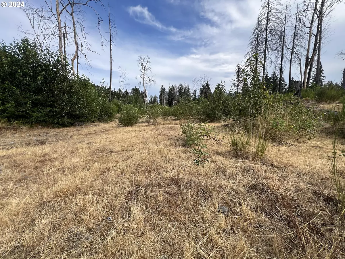 Lyons, OR 97358,00 Fishermen Bend lots