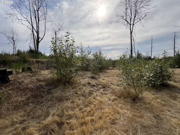 Lyons, OR 97358,00 Fishermen Bend lots