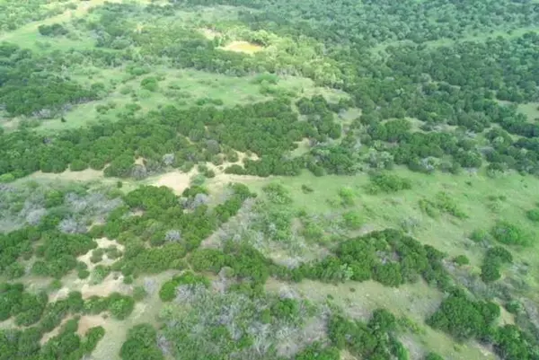 Possum Kingdom Lake, TX 76449,Lot 361 Canyon Wren Loop