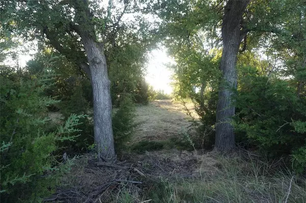 Possum Kingdom Lake, TX 76449,1042 S Clear Cove Court