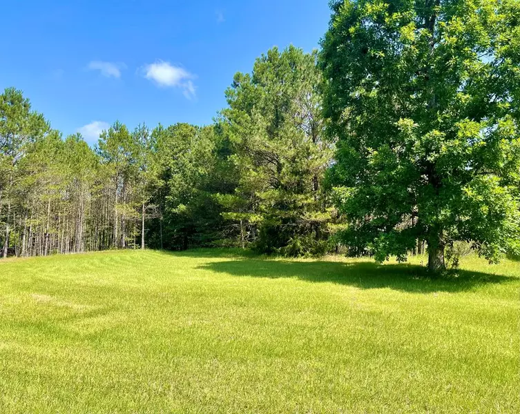 816 Twin Lakes Cove, Oxford, MS 38655