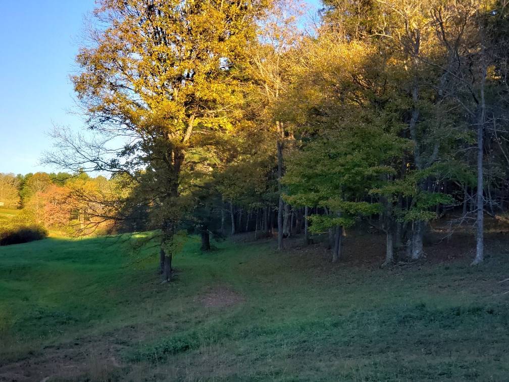 Ennice, NC 28623,TBD CRESTVIEW MOUNTAIN DR LOT 35