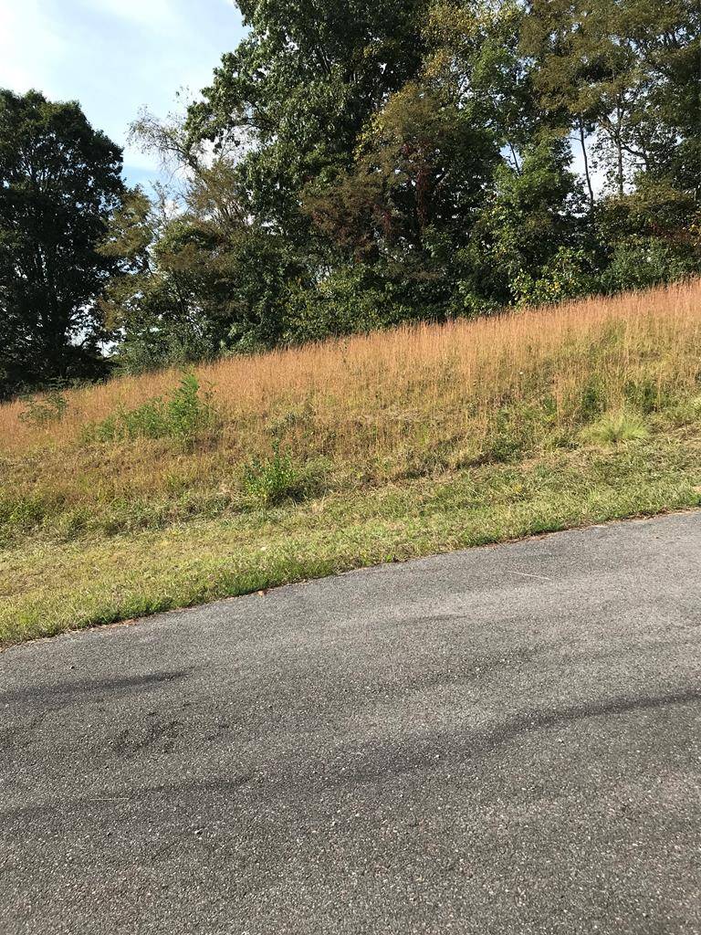 TBD Lot #21 Christin Lane, Chilhowie, VA 24319