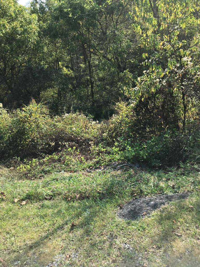 TBD Lot#17 Bryant Drive, Chilhowie, VA 24319