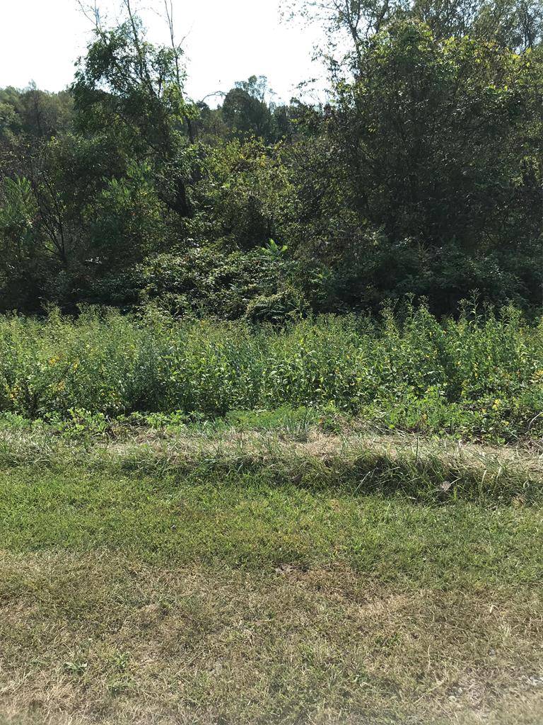 TBD Lot#42 Brooke Street, Chilhowie, VA 24319