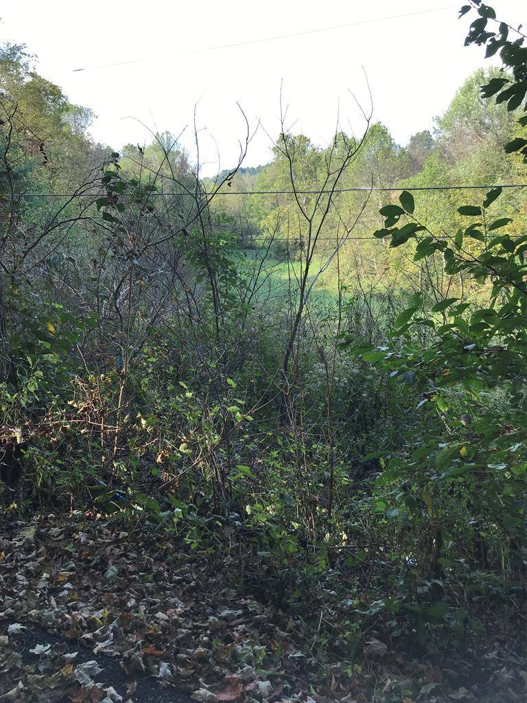 TBD Lot#47 Grinstead Hill Road, Chilhowie, VA 24319