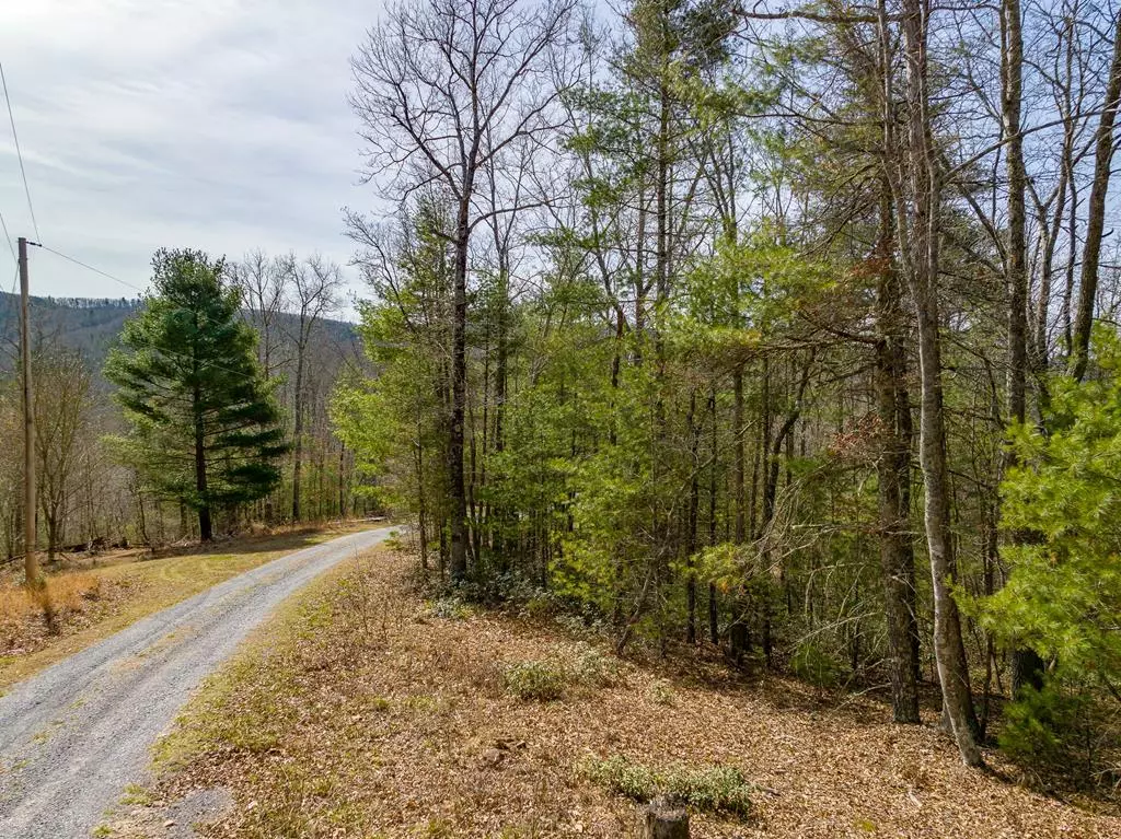 Bland, VA 24315,Lot 3 Sunset Lane