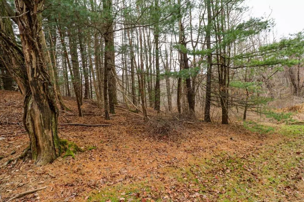 Fancy Gap, VA 24328,Lot 67 Southern View Trail