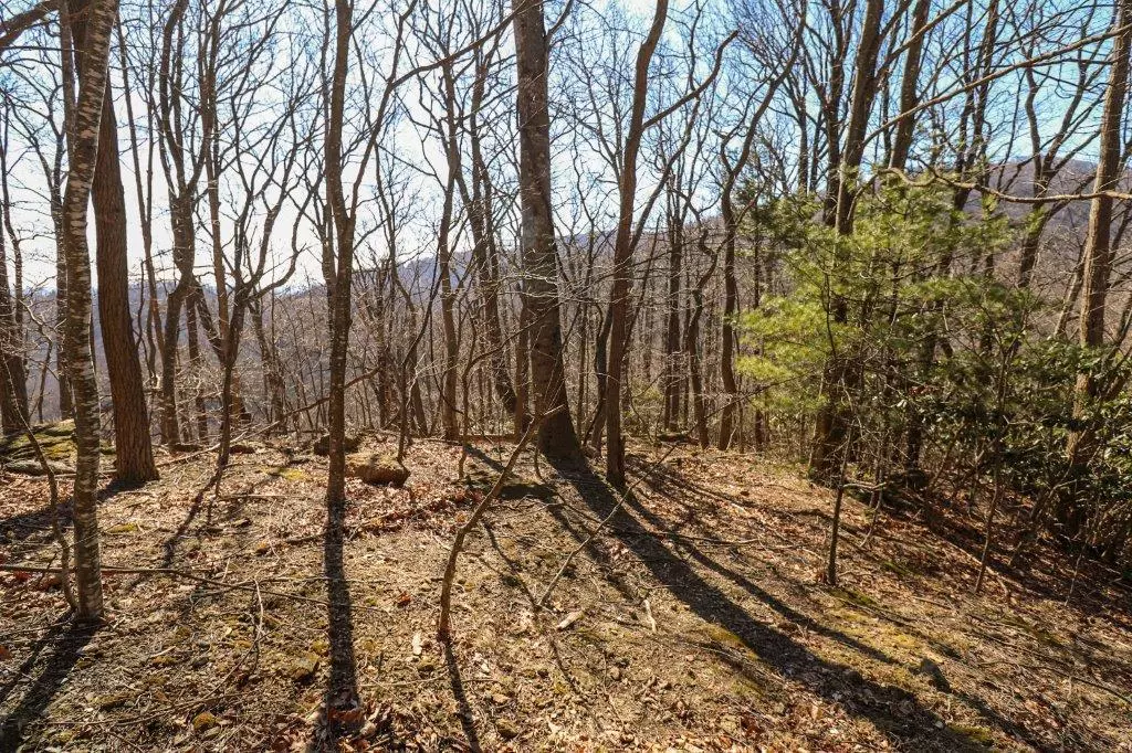 Fancy Gap, VA 24328,Lot 75 Black Gum Trail