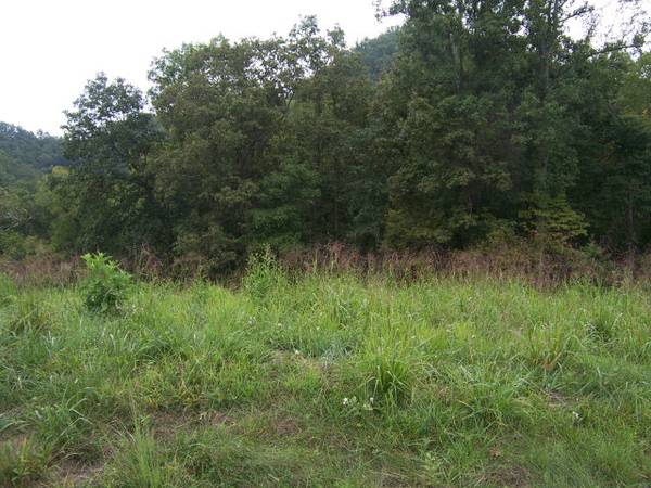 Abingdon, VA 24211,0 LAKE POINTE DRIVE, LOT 7