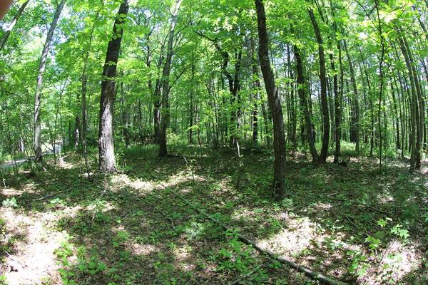 Meadows Of Dan, VA 24120,0 Misty Acres