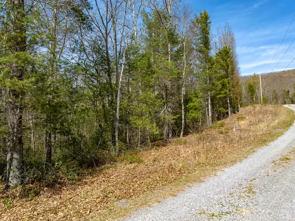 Bland, VA 24315,Lot 3 Sunset Lane