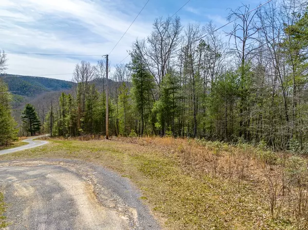 Bland, VA 24315,Lot 5 N Sunset Lane