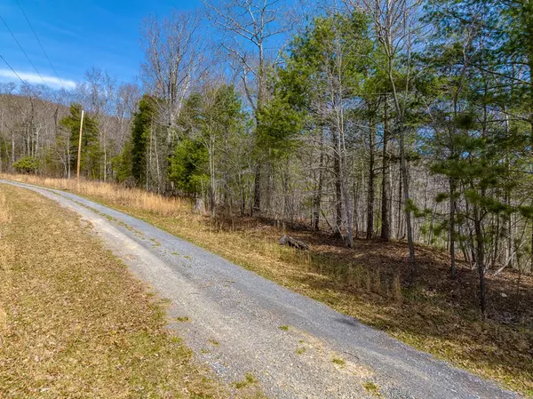 Bland, VA 24315,Lot 5 N Sunset Lane