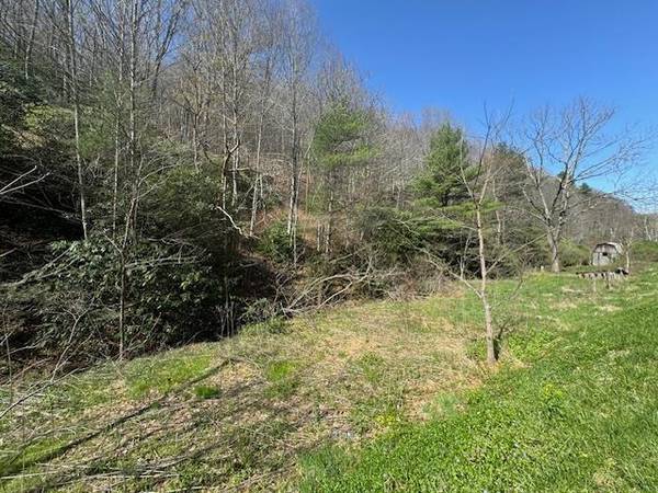 Austinville, VA 24382,TBD Poplar Camp Road