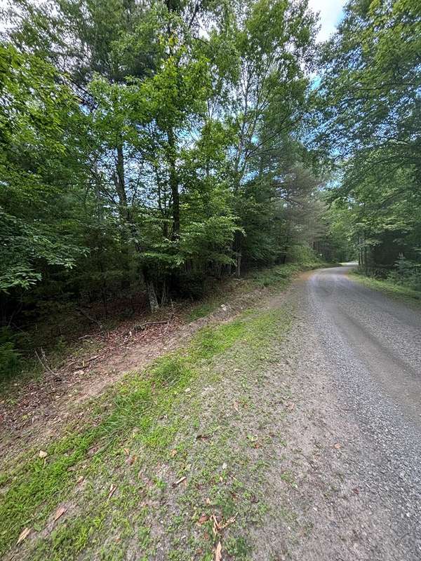 TBD TBD Drypond Rd, Allisonia, VA 24347