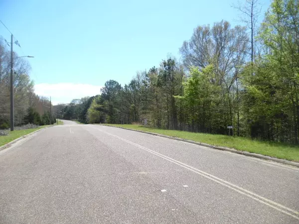 Batesville, MS 38606,Lot 1 Lakewood Drive