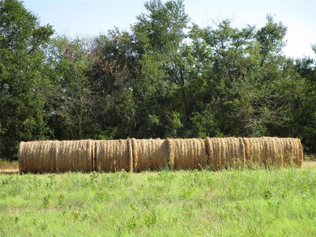 Celeste, TX 75423,TBD County Rd 1082