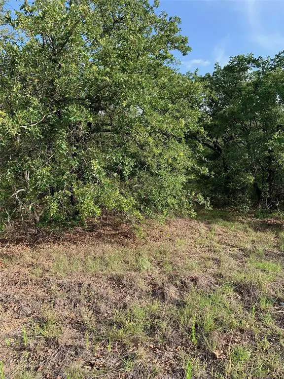 Runaway Bay, TX 76426,Lot 50 Jim Walters Drive