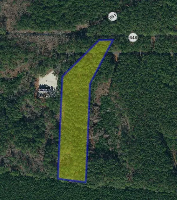 Lot 74 SEAVIEW ST, Accomac, VA 23301